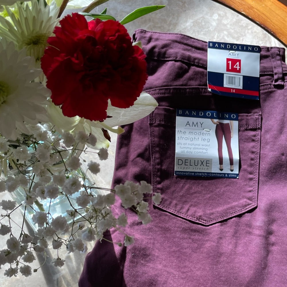 Bandolino Wine Color Modern Jeans 🫶